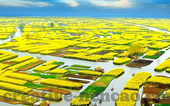 糖心app下载免费安装-感受科技温度，糖心App的便捷与安全使用经验分享