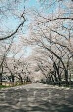 糖心app最新下载地址ios-轻松掌握,糖心app的iOS平台最新下载指南